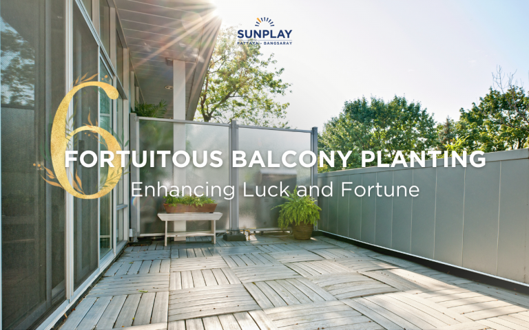 6 Fortuitous Plants for Balcony Planting in 2024